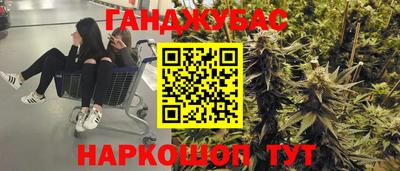 прущие грибы Будённовск