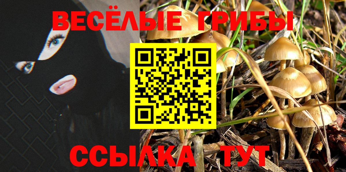 Псилоцибиновые грибы мицелий  Псилоцибиновые грибы мухоморы  Вход с VPN  Ленинск-Кузнецкий 