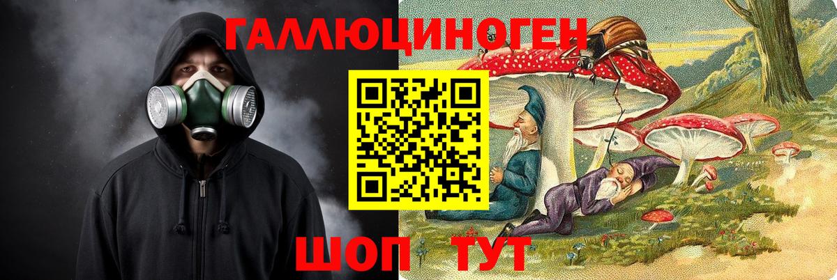 Псилоцибиновые грибы GOLDEN TEACHER Ленинск-Кузнецкий